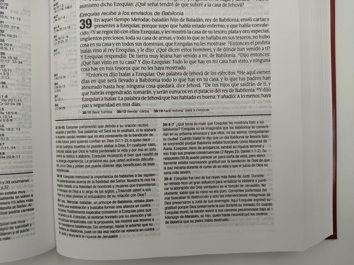 Biblia RVR 1960 de Estudio Diario Vivir Tinto Tapa Dura