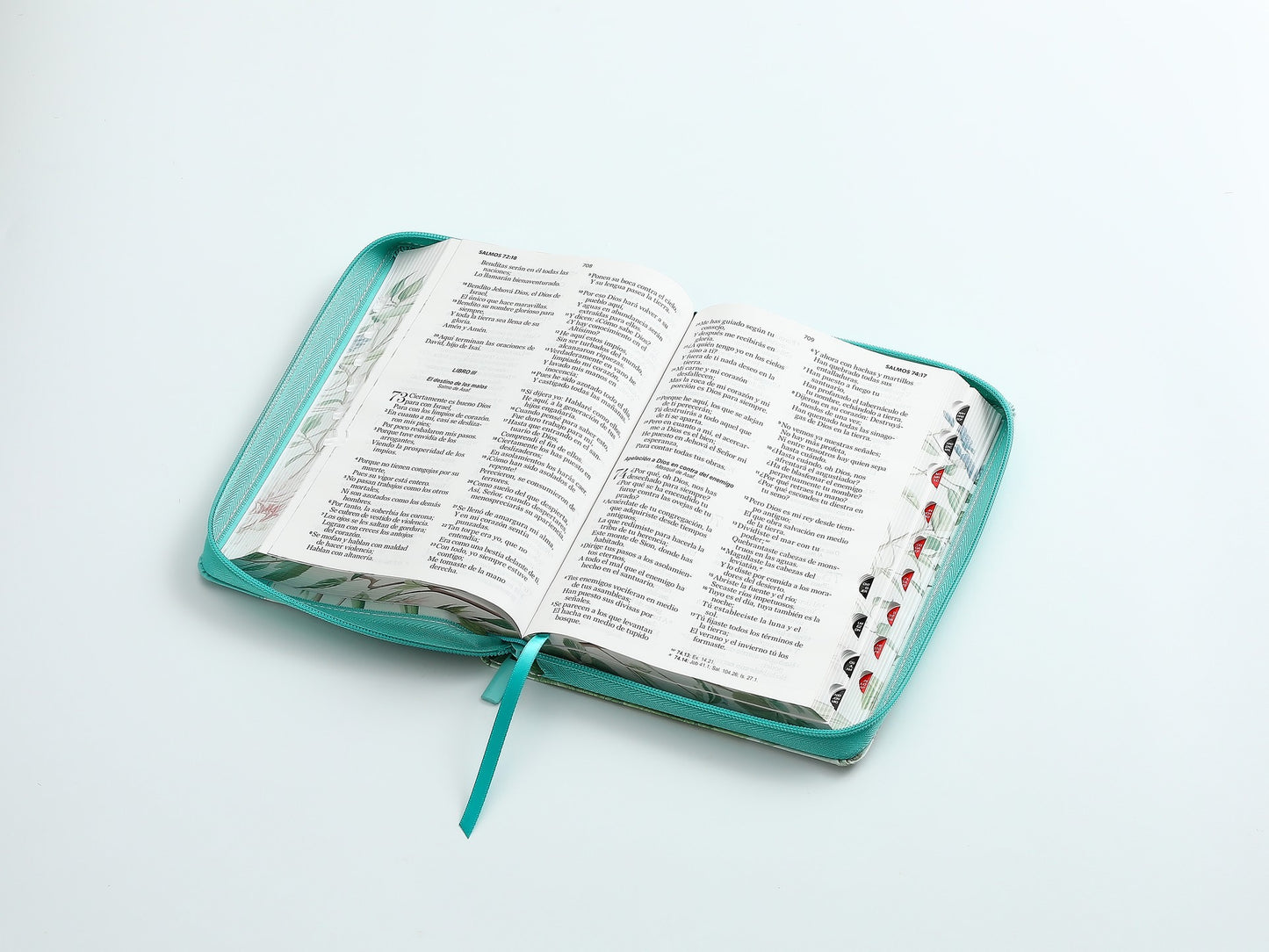 Biblia RVR60 tamaño manual letra grande con cierre índice canto pintado