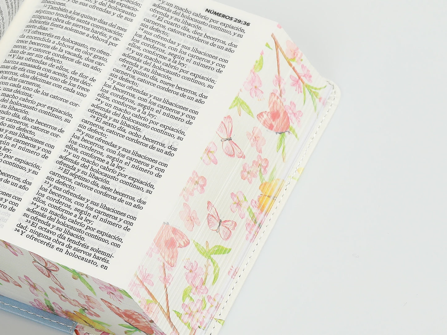 Biblia RVR60 bolsillo Azul