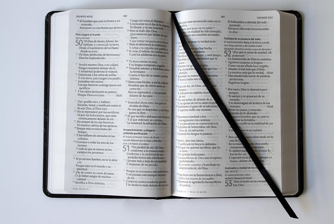 Biblia RVR 1960 Leon de Juda Tamaño Manual Tapa Dura