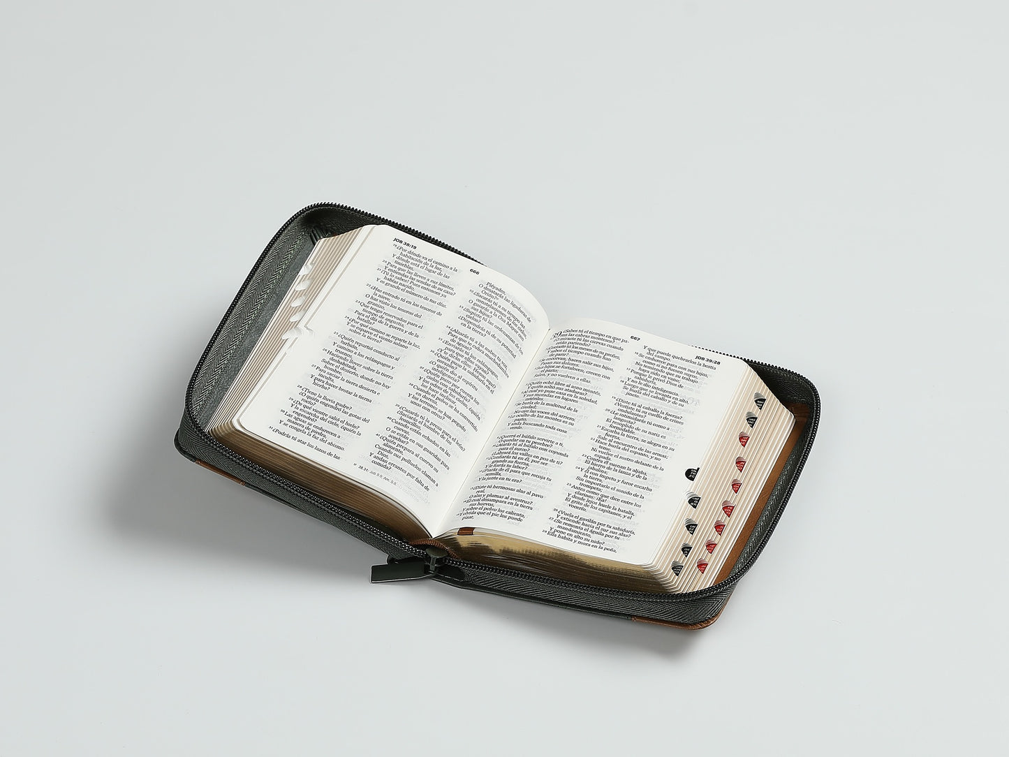 Biblia RVR60 Bolsillo verde con cierre indice