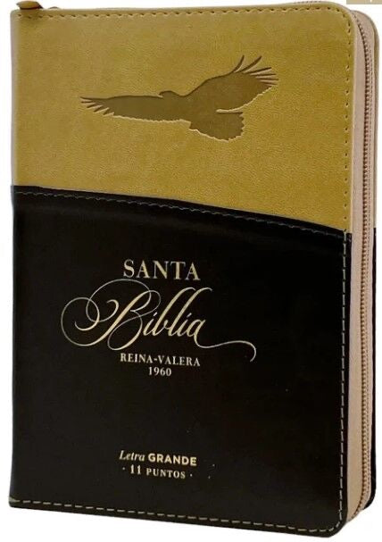 Biblia RVR60 Bolsillo Aguila