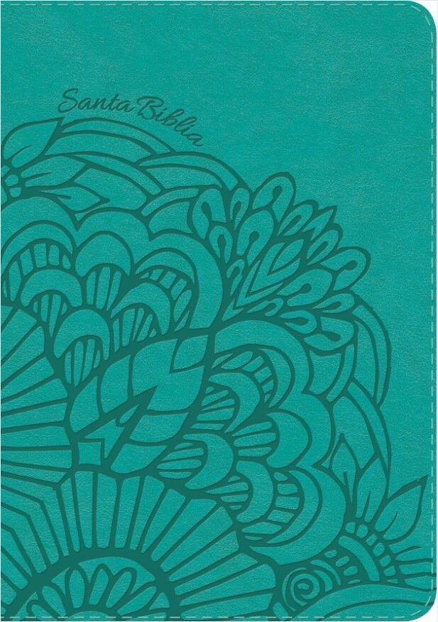 Biblia RVR 1960 Letra Gigante