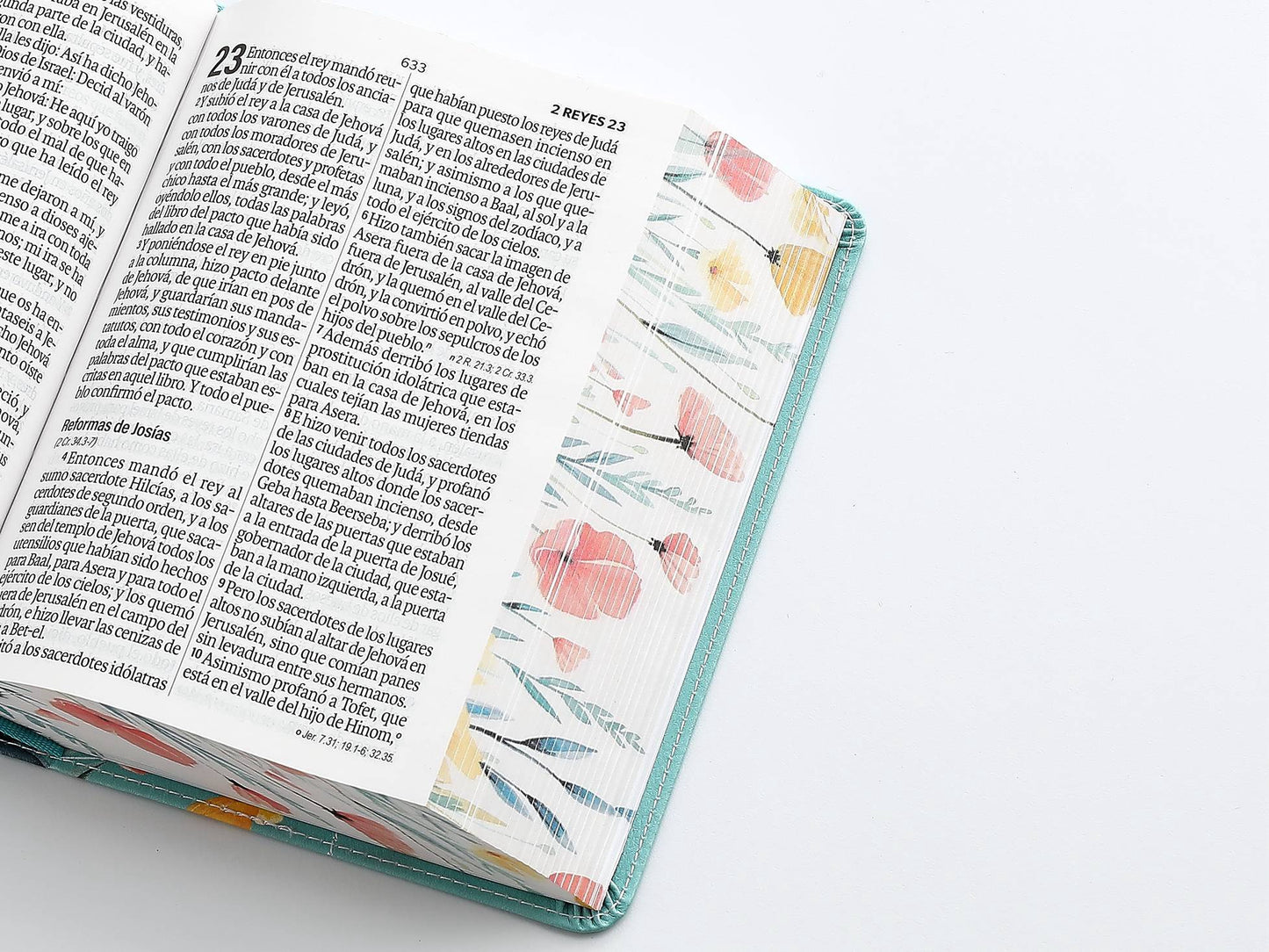 Biblia RVR60 Tamaño compacto Letra Grande 12 puntos turquesa