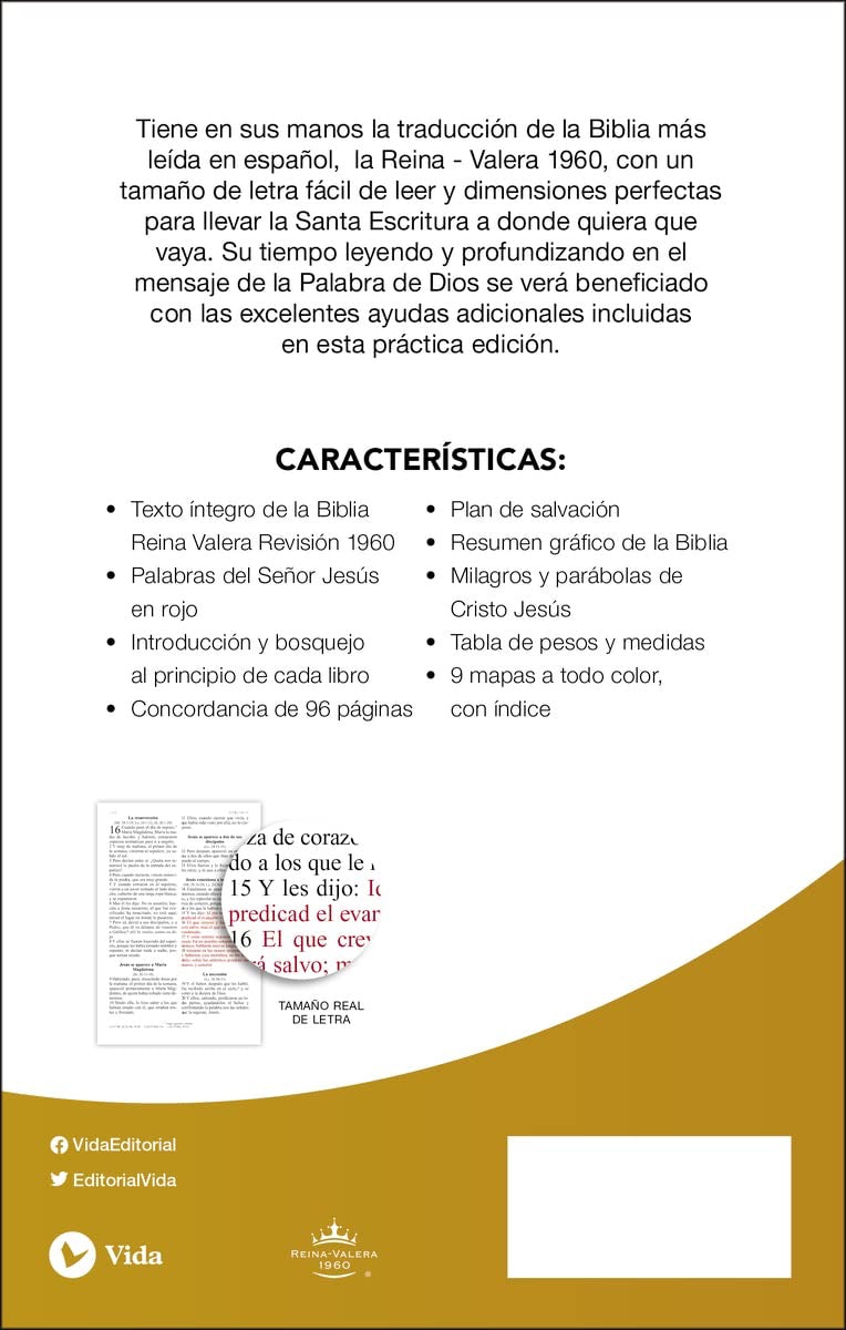 Biblia RVR 1960 Letra Grande Negro con Cierre