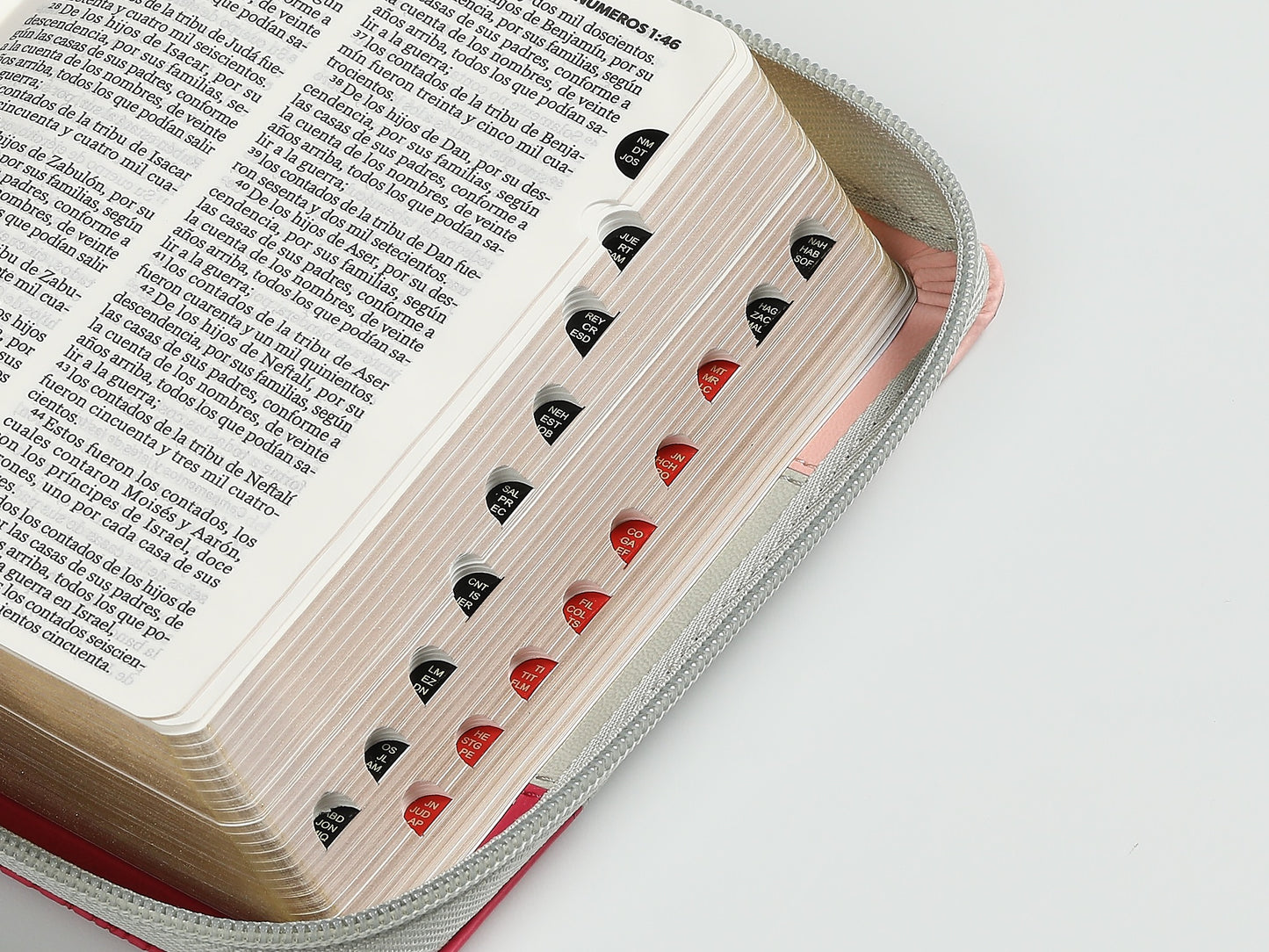 Biblia RVR 1960 Negro Bolsillo