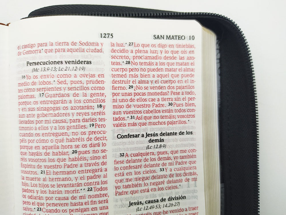 Biblia RVR2020 portátil letra grande cierre