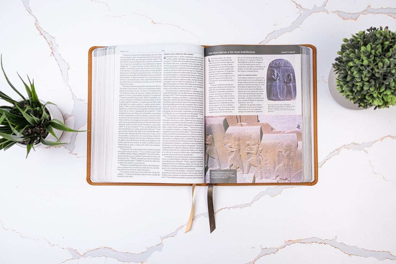 Biblia RVR 1960 Ilustrada Tierra Santa Café Símil Piel