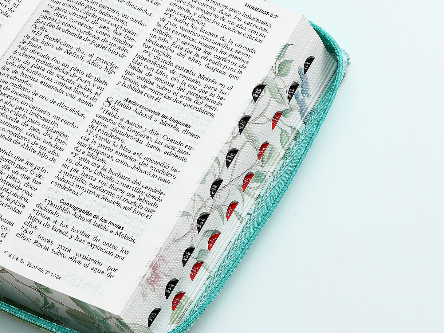 Biblia RVR60 tamaño manual letra grande con cierre índice canto pintado