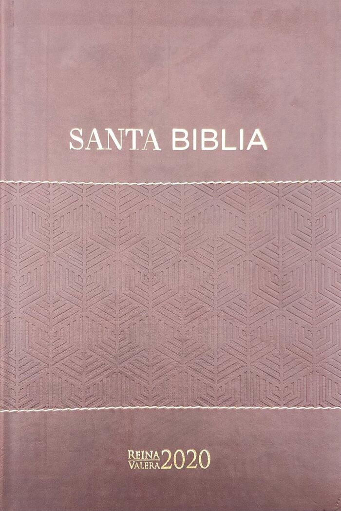 Biblia RVR2020 Tamaño Manual Letra Grande