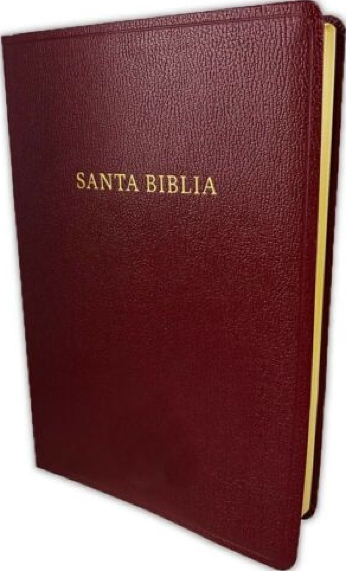 Biblia RVR 1960 Letra Super Gigante