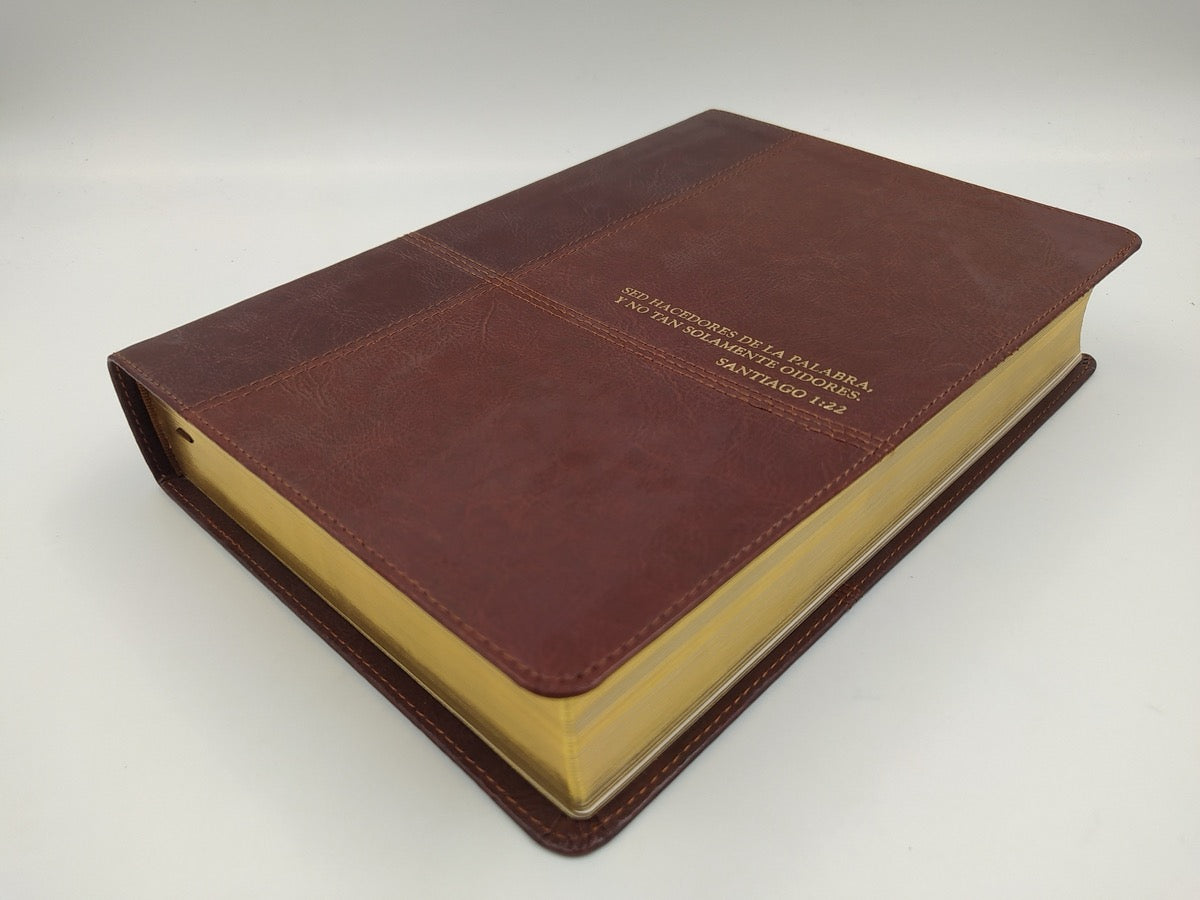 Biblia RVR 1960 de Estudio Diario Vivir Café