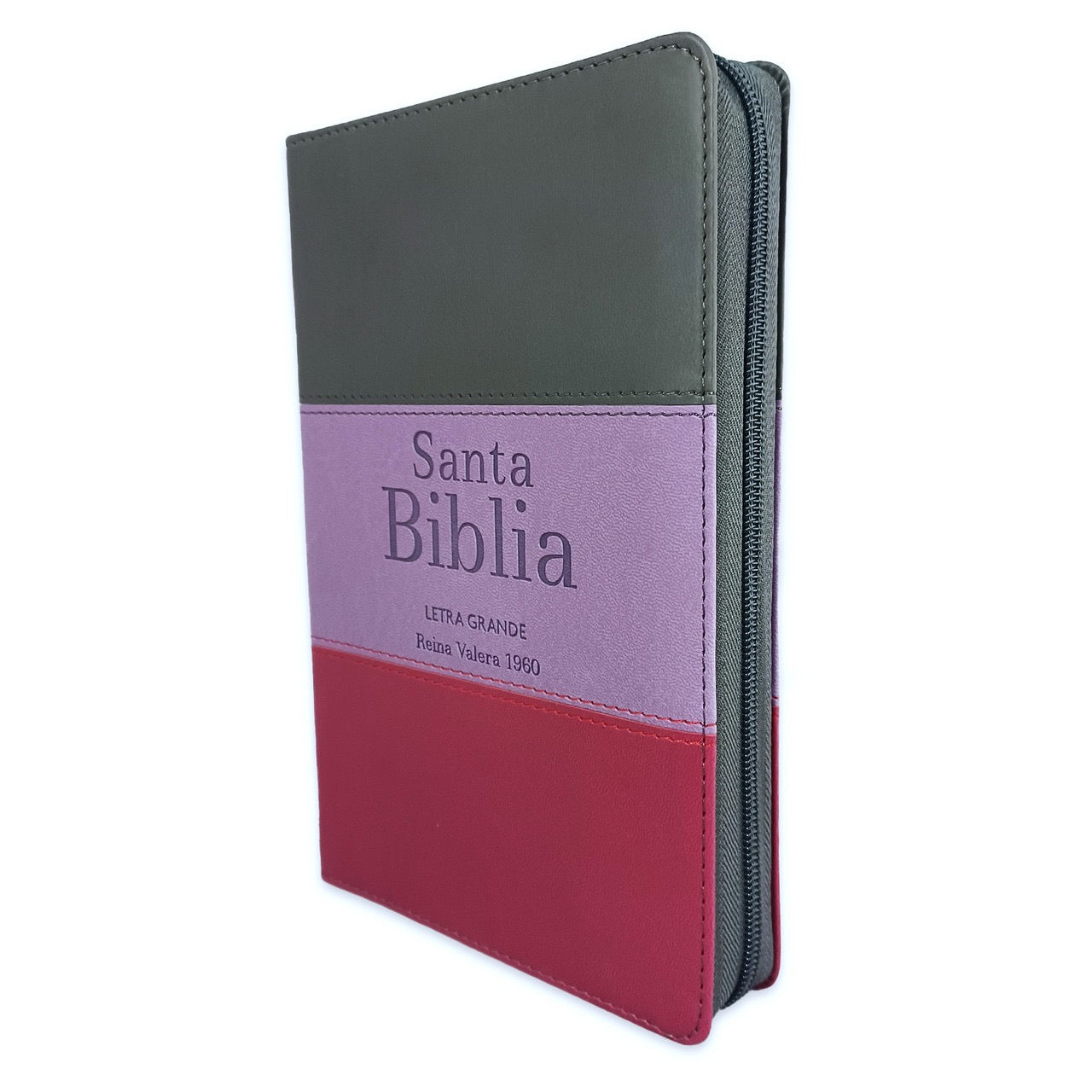 Biblia RVR 1960 Letra Grande Con Indice