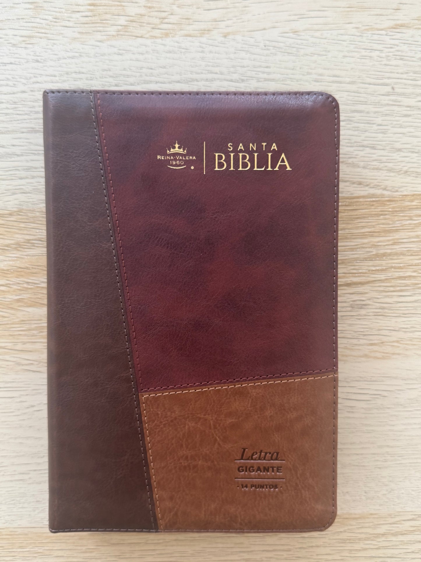 Biblia RVR 1960 letra gigante