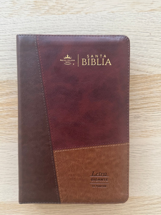 Biblia RVR 1960 letra gigante