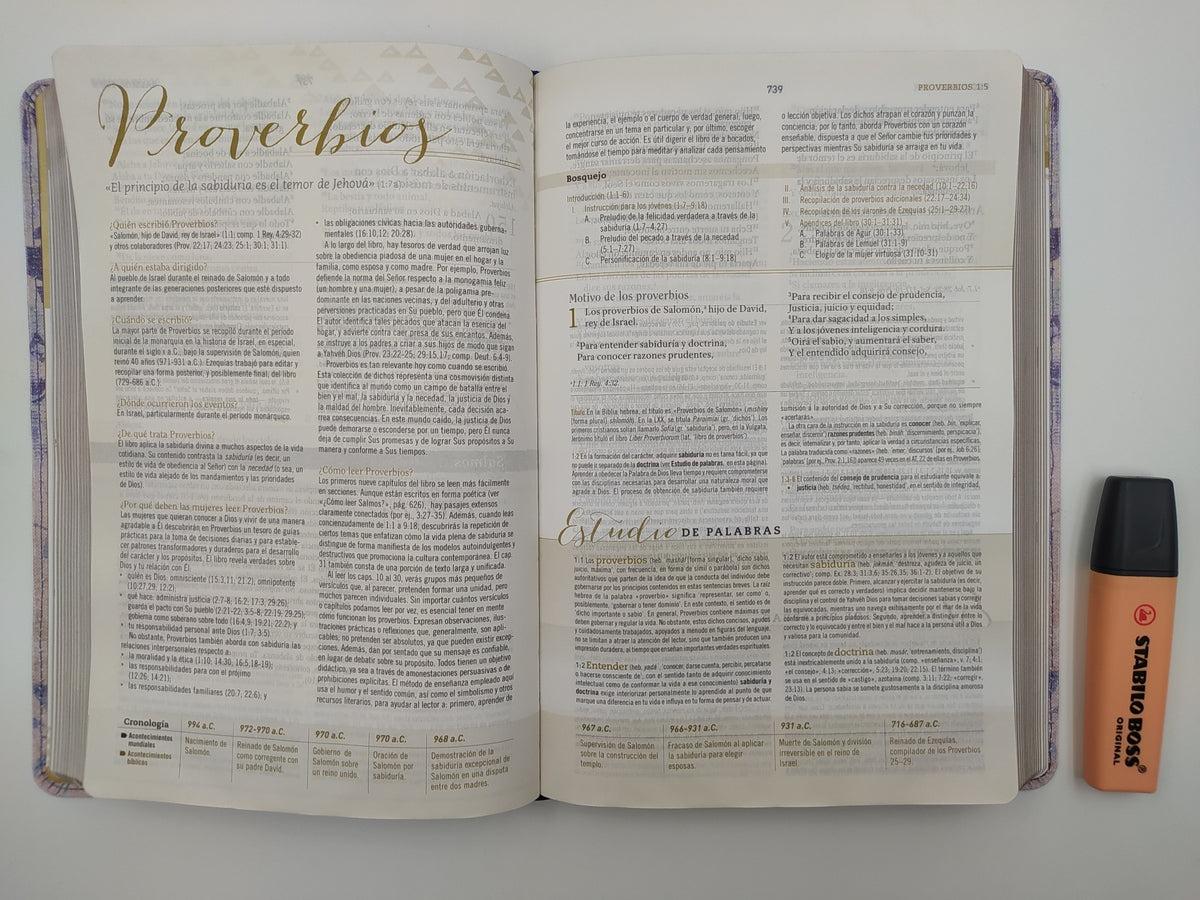 Biblia de Estudio para Mujeres RVR60