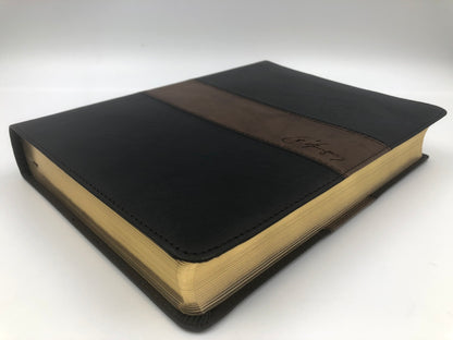 Biblia de Estudio Spurgeon RVR60 piel