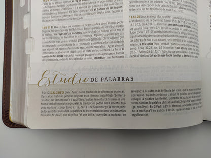 Biblia de estudio para mujeres RVR60