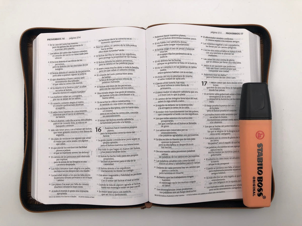 Biblia NTV