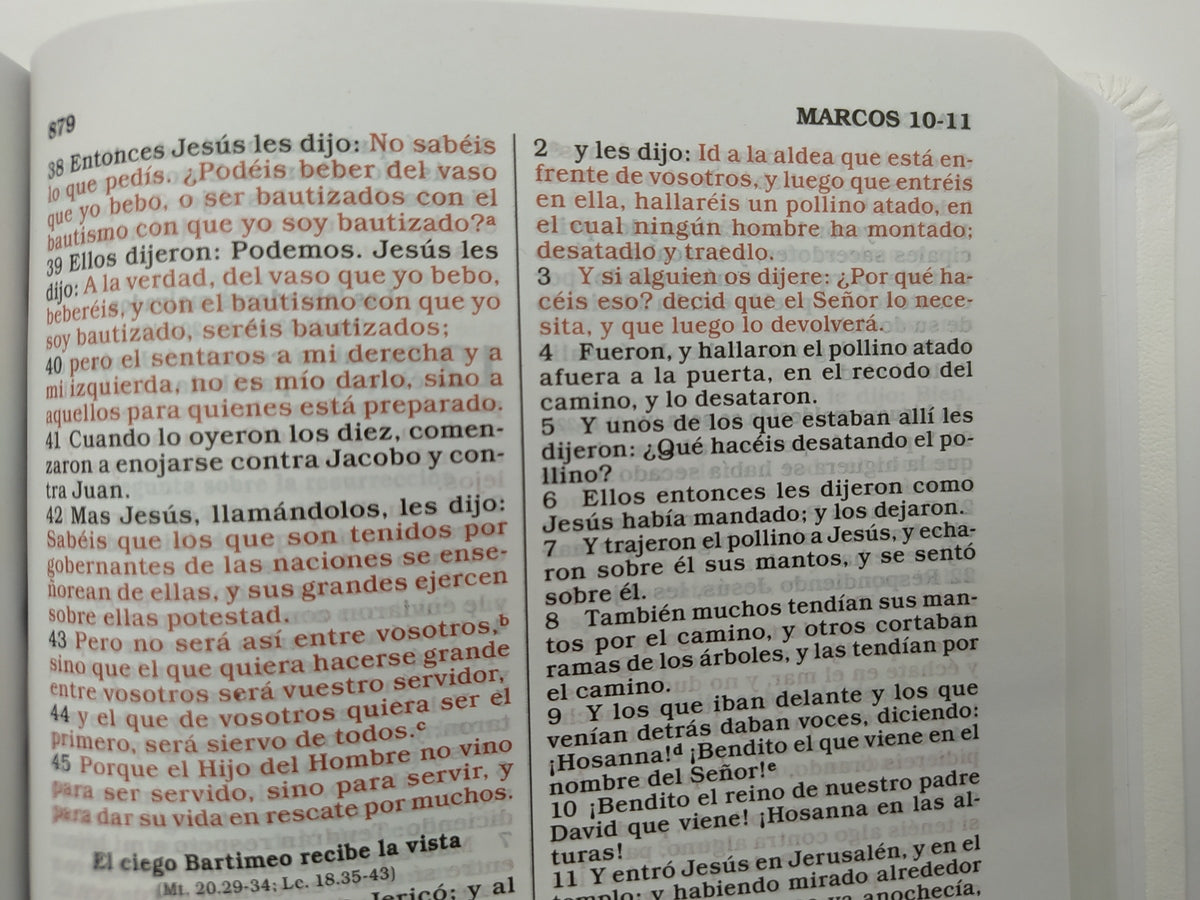 Biblia Manual