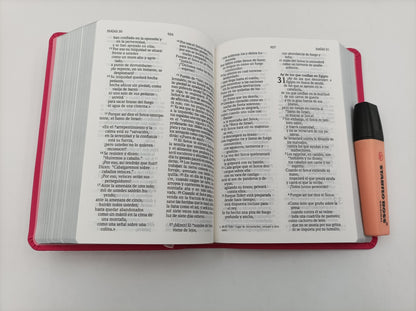 Biblia Compacta Letra Grande