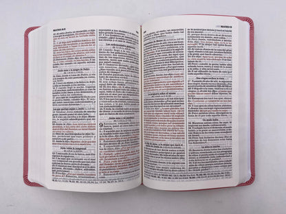 Biblia de regalos y premios. Imitación piel Rosa