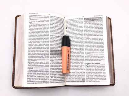 Biblia de promesas Manual Letra grande