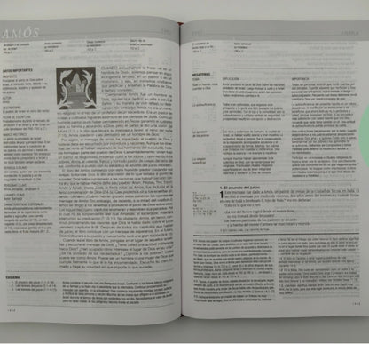 Biblia de estudio Diario Vivir NTV Letra Grande índice