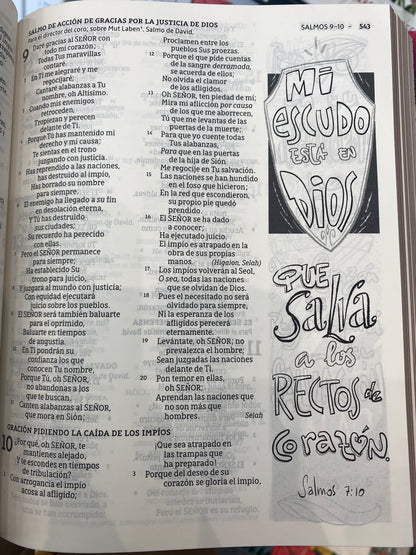 Santa biblia Edicion Artística