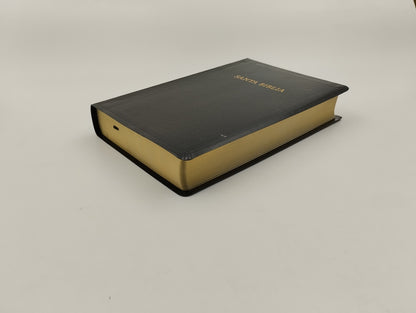 Biblia RVR 1960 Letra Grande Tamaño Manual