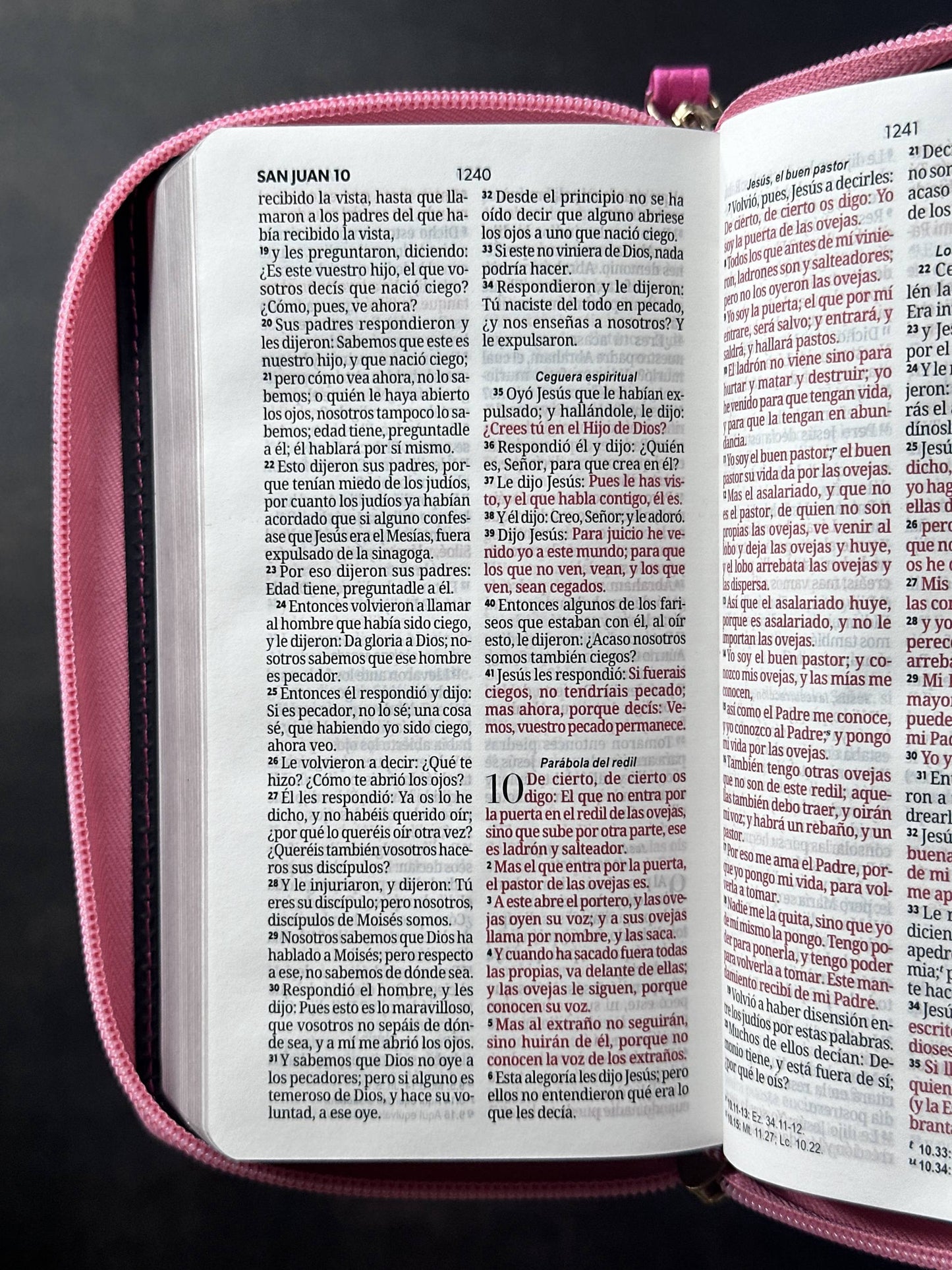 Biblia RVR60 Chequera rosa