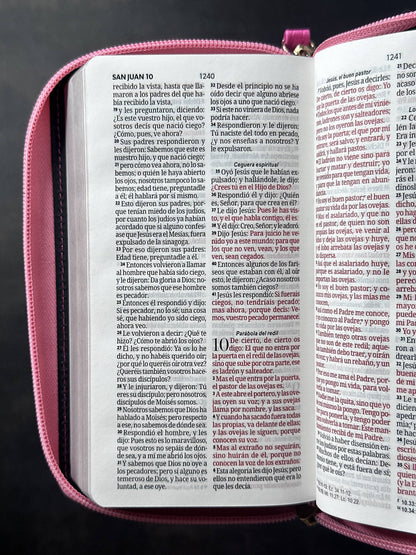 Biblia RVR60 Chequera rosa