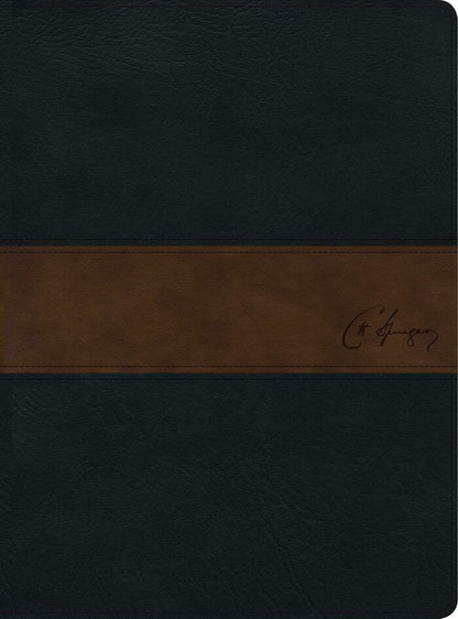 Biblia de Estudio Spurgeon RVR60 piel