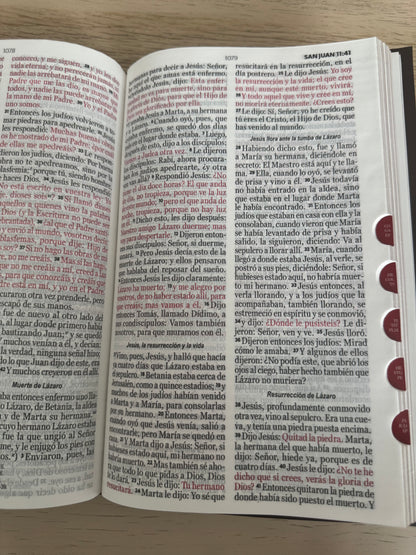 Biblia RVR 1960 letra grande índice
