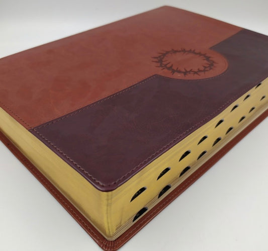 Biblia de estudio Diario Vivir NTV Letra Grande índice