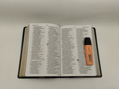 Biblia RVR 1960 Letra Grande Tamaño Manual