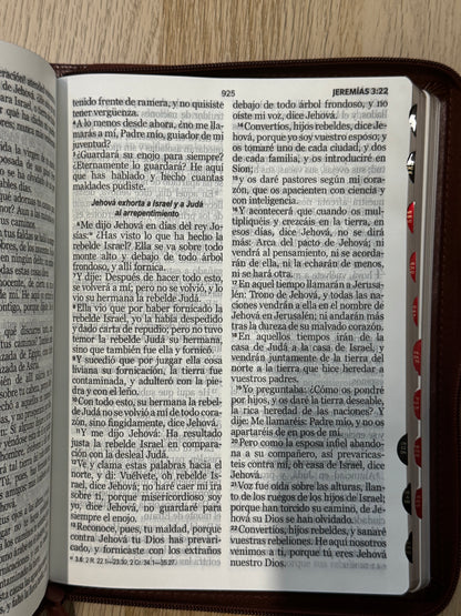 Biblia RVR 1960 letra gigante índice