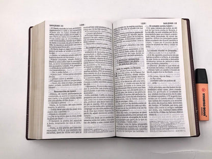 Biblia RVR2020 Tamaño Manual Letra Grande