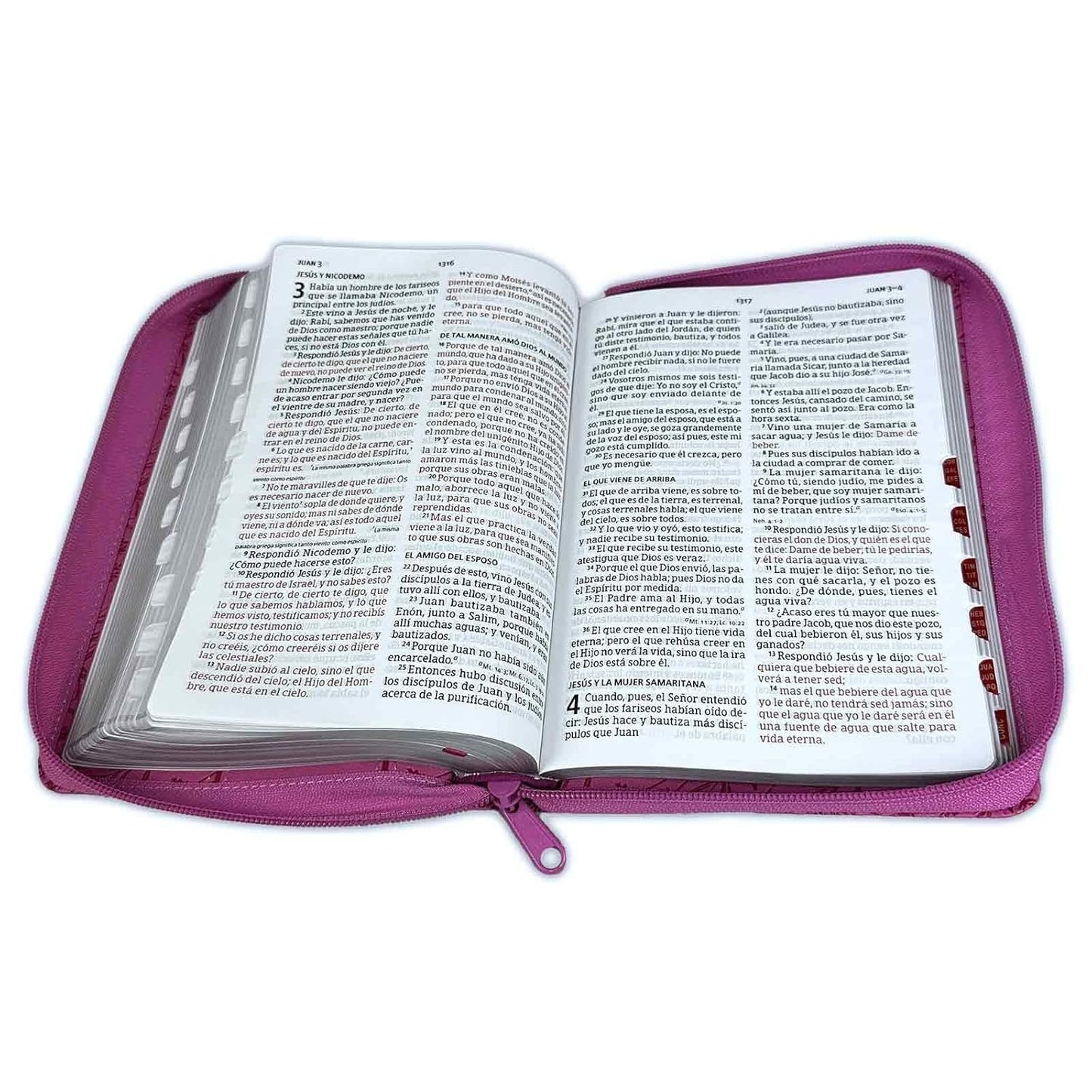 Biblia RVR 1960 Letra Grande Tamaño Manual indice con cierre