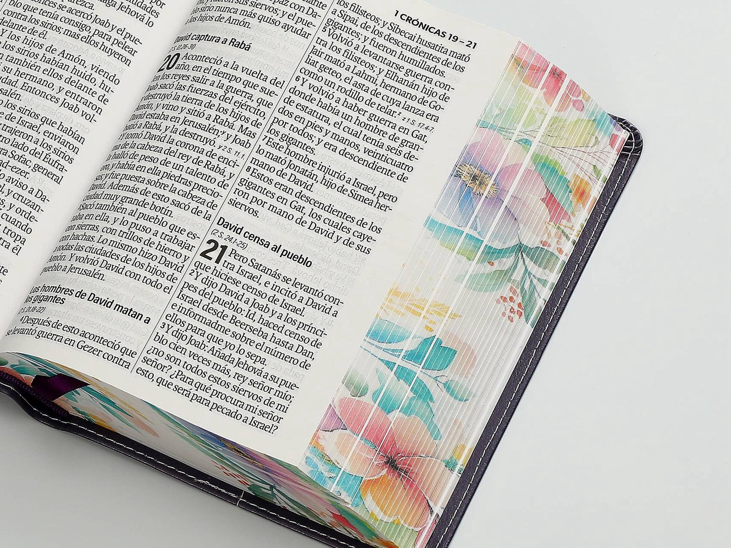 Biblia RVR60 Tamaño compacto Letra Grande 12 puntos morado