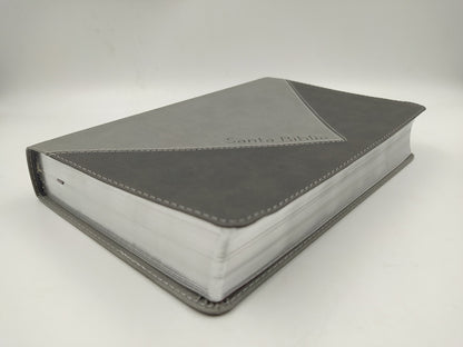 Biblia Thompson RVR60 piel gris
