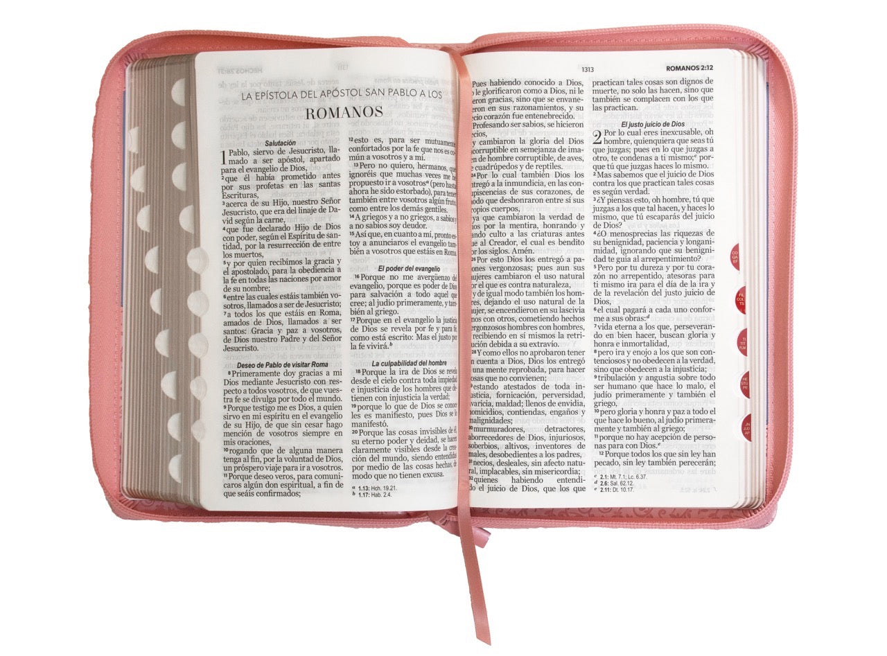 Biblia RVR60 Tamaño Manual Letra Grande rosa