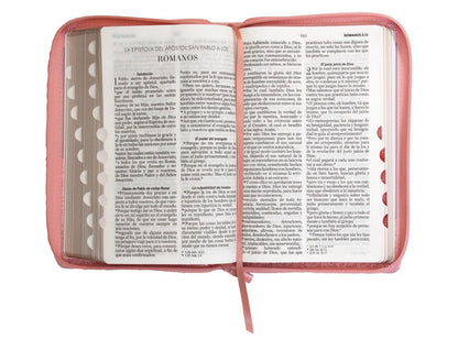 Biblia RVR60 Tamaño Manual Letra Grande rosa