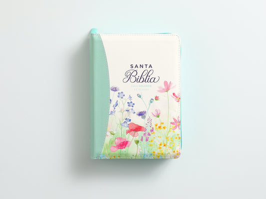 Biblia RVR60 portátil Letra Grande 11 puntos