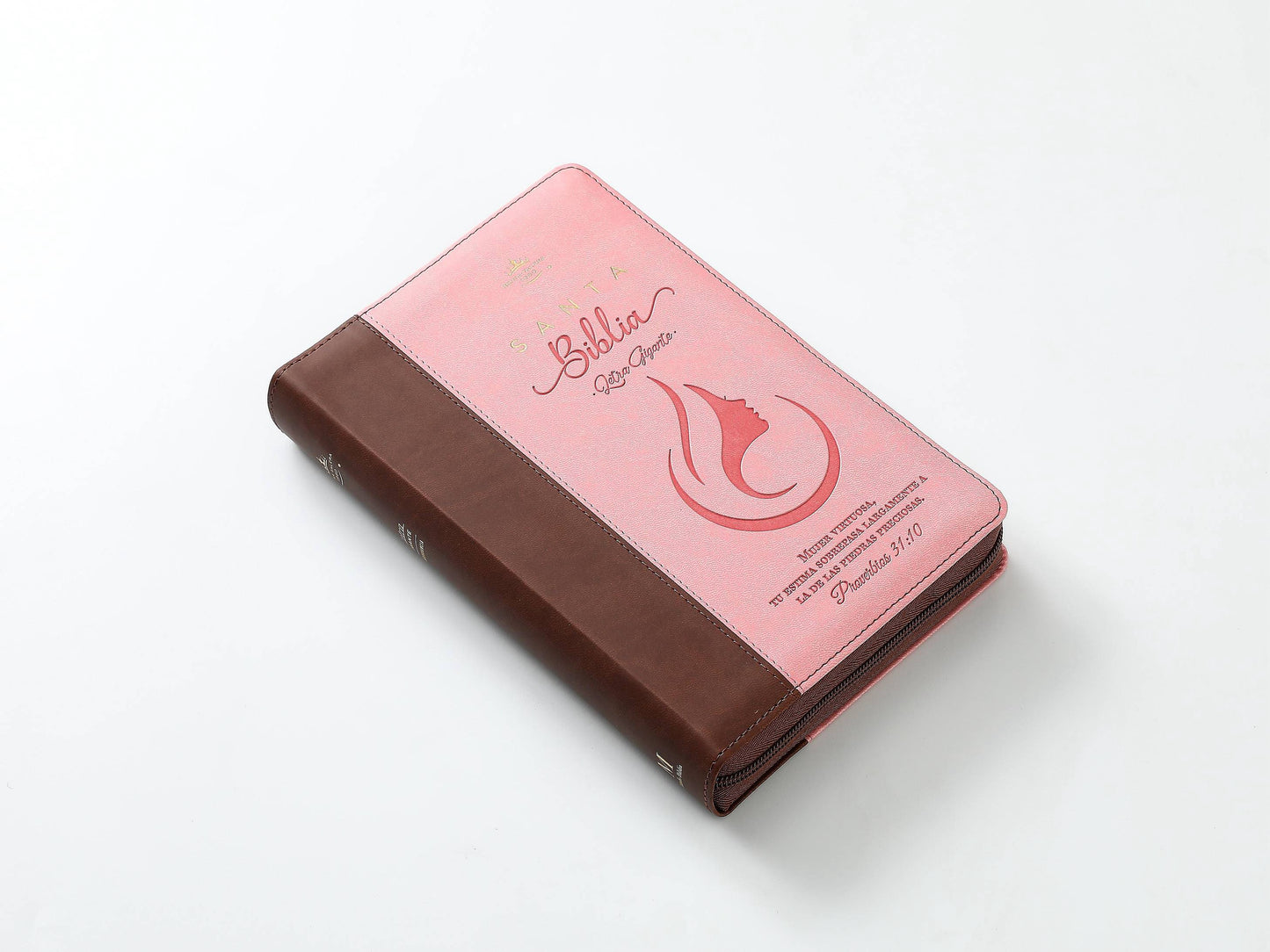 Biblia RVR60 tamaño manual letra Gigante Café