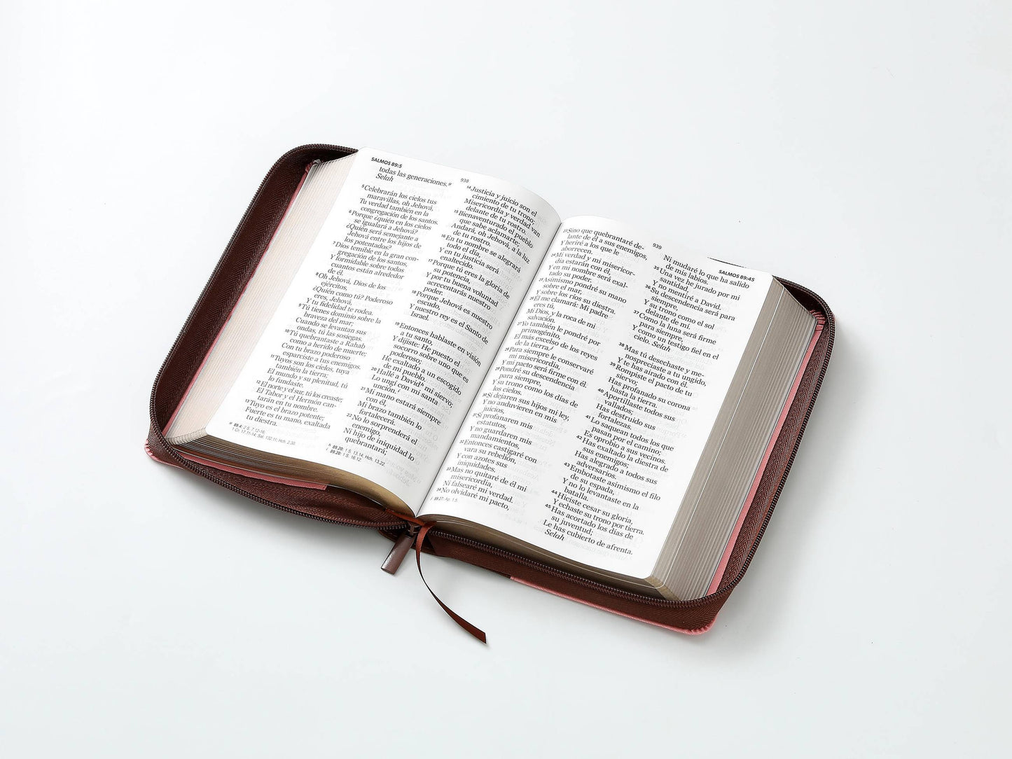 Biblia RVR60 tamaño manual letra Gigante Café