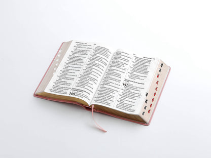 Biblia RVR60 Letra Súper Gigante rosa