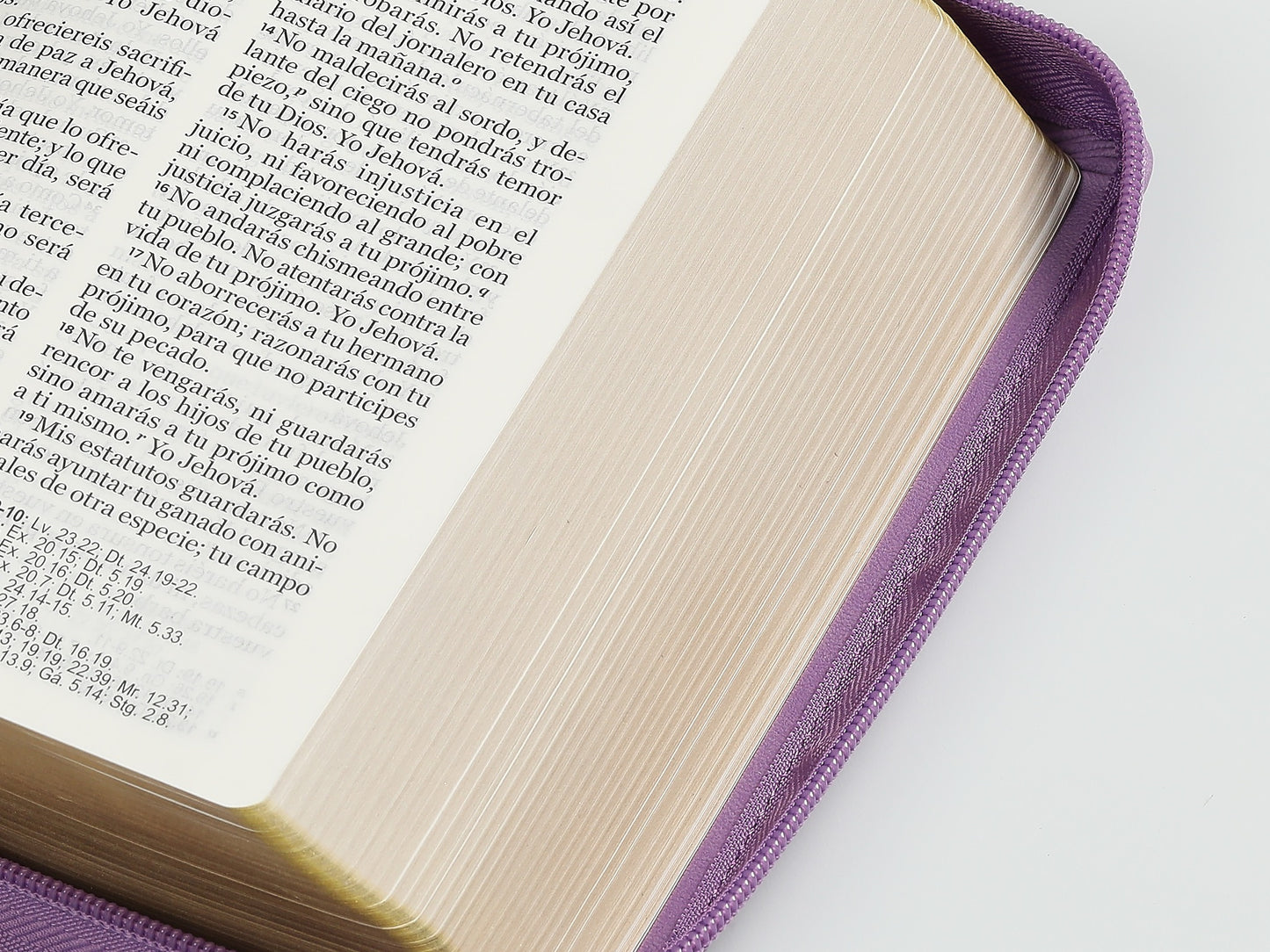 Biblia RVR 1960 Compacta Letra Grande Lila con Cierre