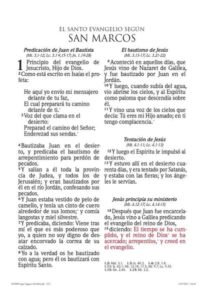 Biblia RVR 1960 Letra Súper Gigante Rosa