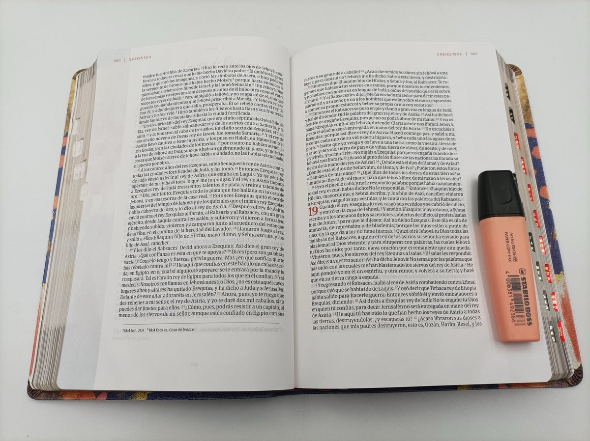 Biblia RVR 1960 Centrada en Cristo Símil Piel con Índice